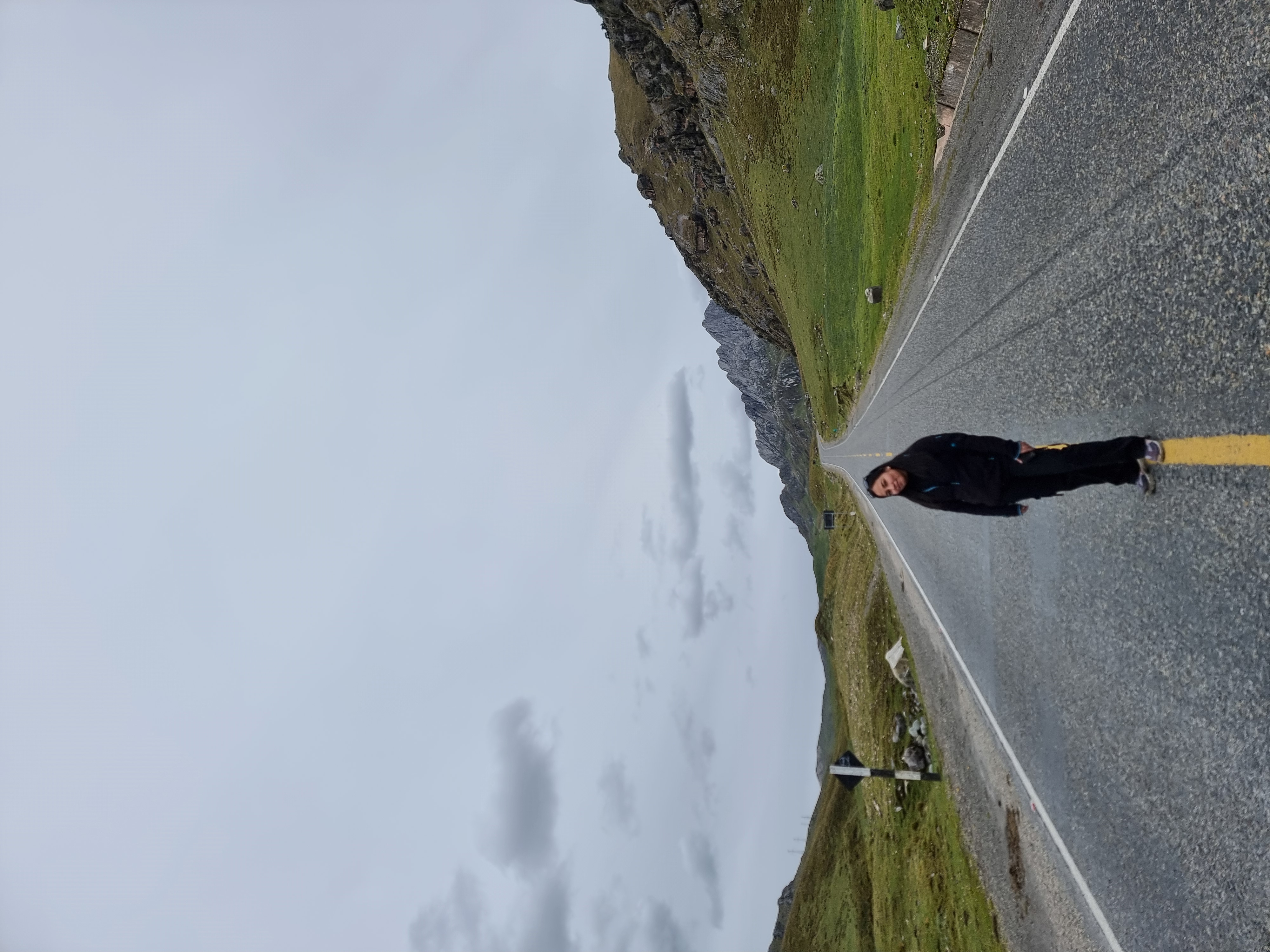 Vehículos en la pista